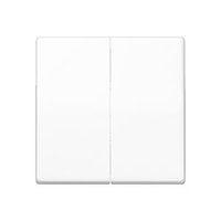 Jung AS 591-5 WW Pic_1