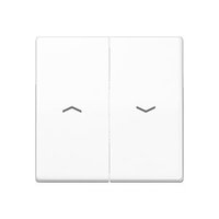 Jung AS 591-5 P BF WW Pic_1