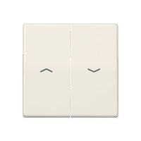 Jung AS 591-5 P BF Pic_1