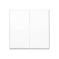 Jung AS 591-5 BF WW Pic_1