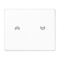 Jung SL 595 P WW Pic_1