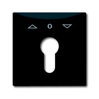 Busch-jaeger 2155 PZ-35 Pic_1