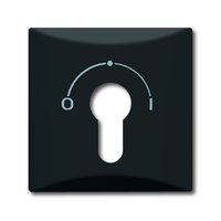 Busch-jaeger 2155 SLPZ-35 Pic_1