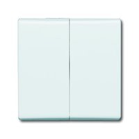 Busch-jaeger 2105-34 Pic_1