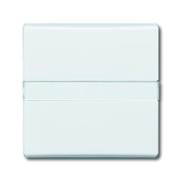 Busch-jaeger 2106 N-32 Pic_1