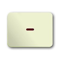 Busch-jaeger 1789-22G Pic_1