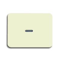 Busch-jaeger 1787-22G Pic_1