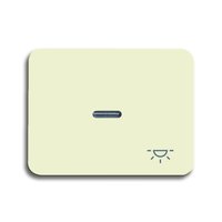 Busch-jaeger 1789 LI-22G Pic_1