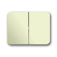 Busch-jaeger 1785-22G Pic_1