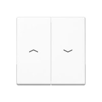 Jung A 595 P WW Pic_1