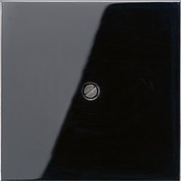 Jung LS 990 A SW Pic_1