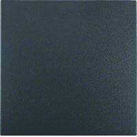 Berker 16201606 Pic_2