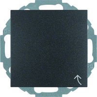 Berker 47441606 Pic_1