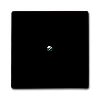 Busch-jaeger 2138-31 Pic_1