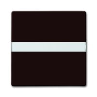 Busch-jaeger 2106 N-31 Pic_1