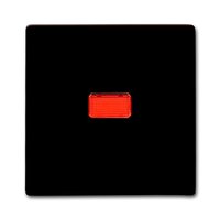 Busch-jaeger 2107-31 Pic_1