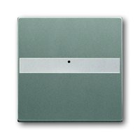 Busch-jaeger 1764 NLI-803 Pic_1