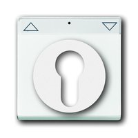 Busch-jaeger 1755 SL/PZ-84-101 Pic_1