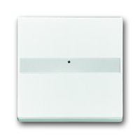 Busch-jaeger 1764 NLI-84 Pic_1