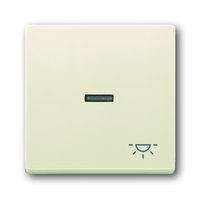 Busch-jaeger 1789 LI-82 Pic_1