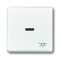 Busch-jaeger 1789 LI-84 Pic_2