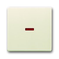 Busch-jaeger 1789-82 Pic_1