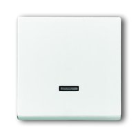 Busch-jaeger 6543-84-101 Pic_1