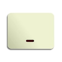 Busch-jaeger 6543-22G-102 Pic_1