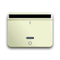 Busch-jaeger 6067-22G-102 Pic_1