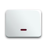 Busch-jaeger 6543-24G-102 Pic_1