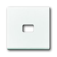 Busch-jaeger 1720-84 Pic_1