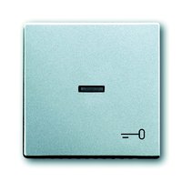 Busch-jaeger 1789 TR-83 Pic_1