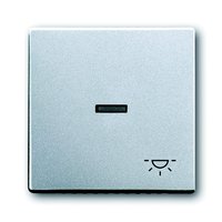 Busch-jaeger 1789 LI-83 Pic_1