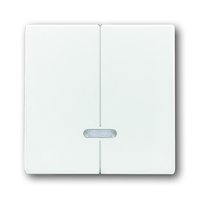 Busch-jaeger 6545-84 Pic_1