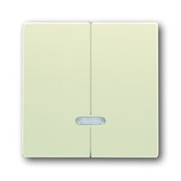 Busch-jaeger 6545-82 Pic_1