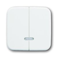 Busch-jaeger 6545-214 Pic_1