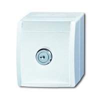 Busch-jaeger 20 EWSL-101-54 Pic_1