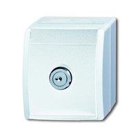 Busch-jaeger 20 EWSL-54 Pic_1