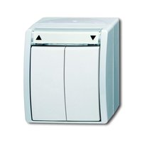 Busch-jaeger 2621/4 W-54 Pic_1