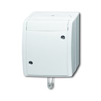 Busch-jaeger 2610/6 W-54 Pic_1