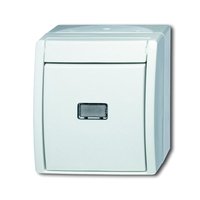 Busch-jaeger 2601/6 WGL-54 Pic_1