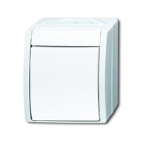 Busch-jaeger 2601/7 W-54 Pic_2