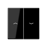 Jung A 595 P SW Pic_1