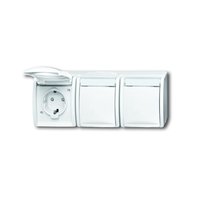 Busch-jaeger 2300/3 EBW-54 Pic_1