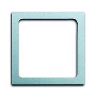 Busch-jaeger 1716-83 Pic_1