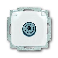 Busch-jaeger 20 EUKSL-214-101 Pic_1