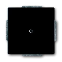 Busch-jaeger 1742-885 Pic_1