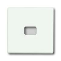 Busch-jaeger 1720-884 Pic_1