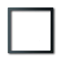 Busch-jaeger 1716-775 Pic_1