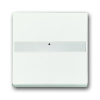 Busch-jaeger 1764 NLI-884 Pic_1